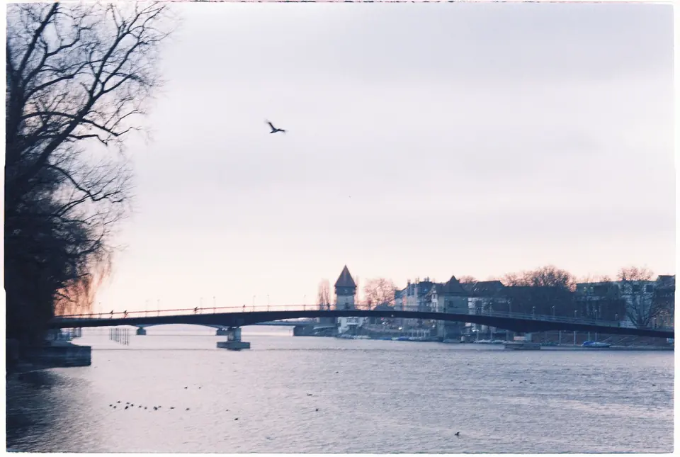 Ruhige Winterszene einer Brücke über den Rhein in Konstanz, Deutschland, mit einem Vogel, der darüber fliegt.